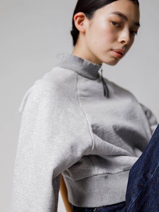 color scheme pullover (2 colors)